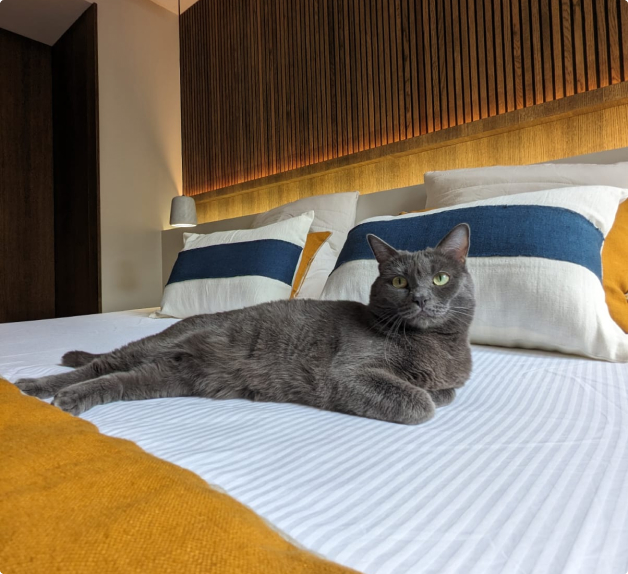 chat-lpp